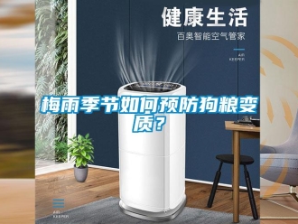 常見問題梅雨季節(jié)如何預(yù)防狗糧變質(zhì)？