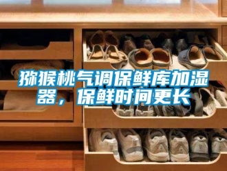 行業(yè)新聞獼猴桃氣調(diào)保鮮庫加濕器，保鮮時(shí)間更長