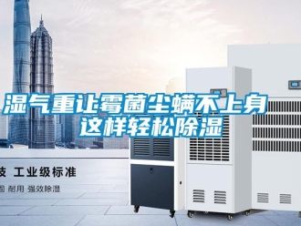 知識(shí)百科濕氣重讓霉菌塵螨不上身  這樣輕松除濕