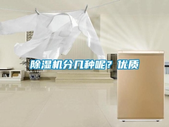 行業(yè)新聞除濕機(jī)分幾種呢？優(yōu)質(zhì)