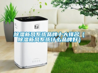 行業(yè)新聞除濕新風(fēng)系統(tǒng)品牌十大排名（除濕新風(fēng)系統(tǒng)什么品牌好）