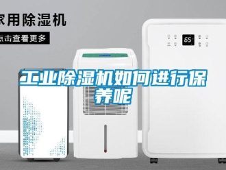 常見問題工業(yè)除濕機如何進行保養(yǎng)呢