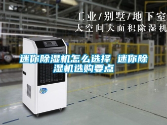 行業(yè)新聞迷你除濕機(jī)怎么選擇 迷你除濕機(jī)選購要點