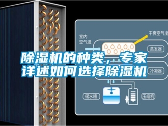 企業(yè)新聞除濕機的種類，專家詳述如何選擇除濕機