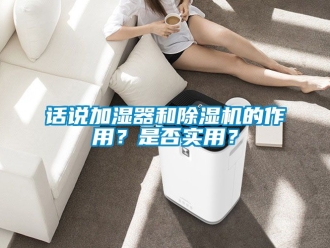 行業(yè)新聞話說加濕器和除濕機(jī)的作用？是否實(shí)用？