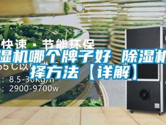 行業(yè)新聞除濕機(jī)哪個牌子好 除濕機(jī)選擇方法【詳解】