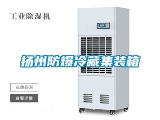 企業(yè)新聞?chuàng)P州防爆冷藏集裝箱