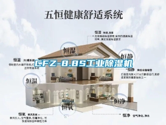 常見(jiàn)問(wèn)題CFZ-8.8S工業(yè)除濕機(jī)