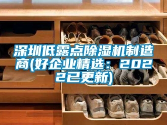 行業(yè)新聞深圳低露點(diǎn)除濕機(jī)制造商(好企業(yè)精選：2022已更新)