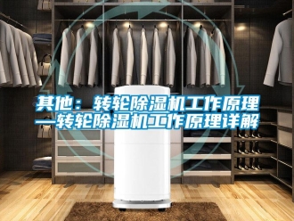 常見問題其他：轉(zhuǎn)輪除濕機(jī)工作原理—轉(zhuǎn)輪除濕機(jī)工作原理詳解