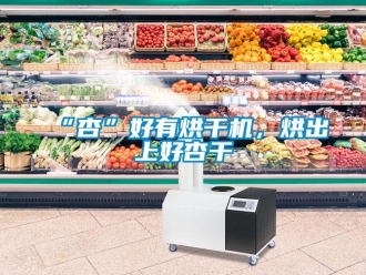 常見問題“杏”好有烘干機，烘出上好杏干