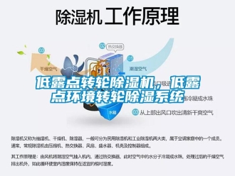 企業(yè)新聞低露點轉(zhuǎn)輪除濕機，低露點環(huán)境轉(zhuǎn)輪除濕系統(tǒng)