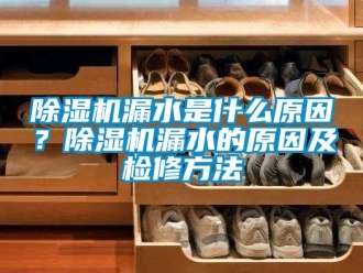 常見問題除濕機漏水是什么原因？除濕機漏水的原因及檢修方法
