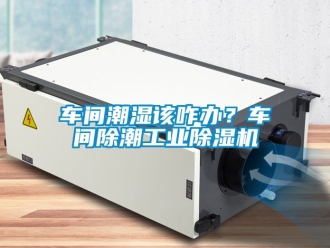 常見問題車間潮濕該咋辦？車間除潮工業(yè)除濕機