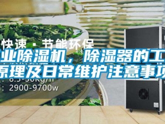 企業(yè)新聞工業(yè)除濕機(jī)，除濕器的工作原理及日常維護(hù)注意事項(xiàng)