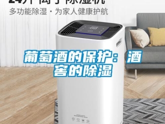行業(yè)新聞葡萄酒的保護：酒窖的除濕