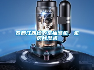 行業(yè)新聞泰都江西地下室抽濕機、機房除濕機