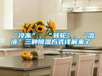 常見問題“冷凍”、“轉(zhuǎn)輪”、“溶液”三種除濕方式詳解來了