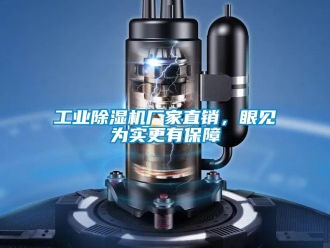 企業(yè)新聞工業(yè)除濕機(jī)廠家直銷，眼見為實(shí)更有保障