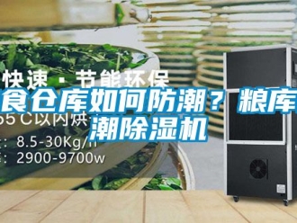 企業(yè)新聞糧食倉庫如何防潮？糧庫防潮除濕機(jī)
