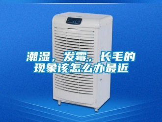 常見問題潮濕，發(fā)霉，長毛的現(xiàn)象該怎么辦最近