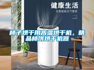 知識百科柿子烘干用高溫烘干機，精品柿餅烘干機器