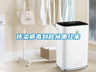 企業(yè)新聞傳染病毒到底從哪兒來