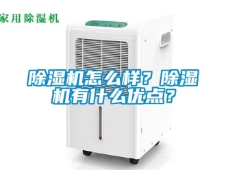 行業(yè)新聞除濕機怎么樣？除濕機有什么優(yōu)點？