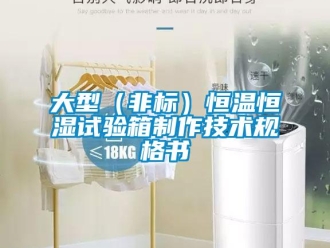知識百科大型（非標(biāo)）恒溫恒濕試驗箱制作技術(shù)規(guī)格書