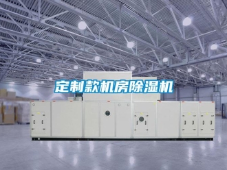 行業(yè)新聞定制款機房除濕機