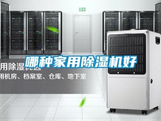 常見問題哪種家用除濕機(jī)好