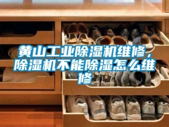 常見問題黃山工業(yè)除濕機維修，除濕機不能除濕怎么維修