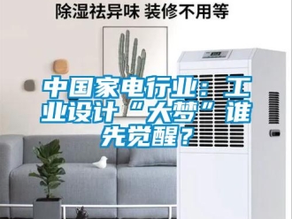 知識百科中國家電行業(yè)：工業(yè)設(shè)計“大夢”誰先覺醒？