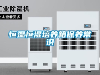 知識(shí)百科恒溫恒濕培養(yǎng)箱保養(yǎng)常識(shí)