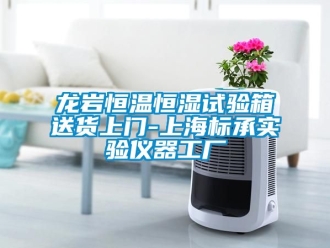 知識(shí)百科龍巖恒溫恒濕試驗(yàn)箱送貨上門-上海標(biāo)承實(shí)驗(yàn)儀器工廠