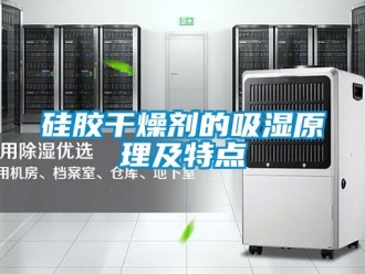 企業(yè)新聞硅膠干燥劑的吸濕原理及特點