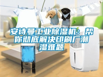 企業(yè)新聞安詩曼工業(yè)除濕機：幫你徹底解決印刷廠潮濕難題