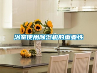 知識(shí)百科浴室使用除濕機(jī)的重要性