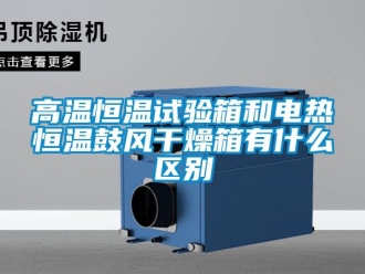 知識百科高溫恒溫試驗箱和電熱恒溫鼓風(fēng)干燥箱有什么區(qū)別