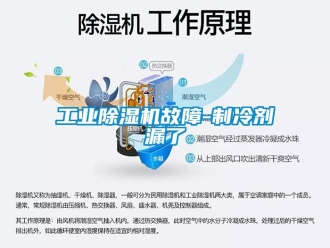 企業(yè)新聞工業(yè)除濕機故障-制冷劑漏了