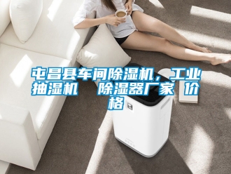 企業(yè)新聞屯昌縣車間除濕機(jī)，工業(yè)抽濕機(jī)  除濕器廠家 價格