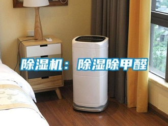 常見問題除濕機(jī)：除濕除甲醛