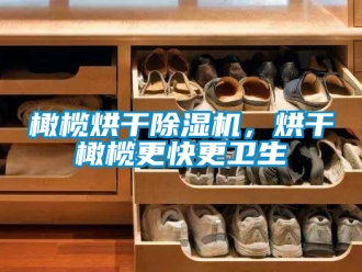行業(yè)新聞橄欖烘干除濕機(jī)，烘干橄欖更快更衛(wèi)生
