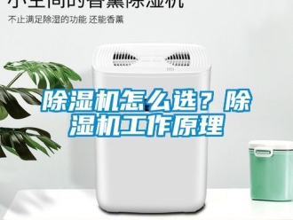 行業(yè)新聞除濕機怎么選？除濕機工作原理