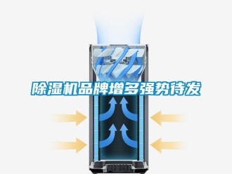 常見問題除濕機(jī)品牌增多強(qiáng)勢待發(fā)