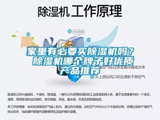 行業(yè)新聞家里有必要買除濕機(jī)嗎？ 除濕機(jī)哪個(gè)牌子好優(yōu)質(zhì)產(chǎn)品推薦