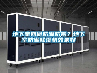 常見問題地下室如何防潮防霉？地下室防潮除濕機(jī)效果好