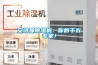 安詩曼除濕機：你的干衣專家！