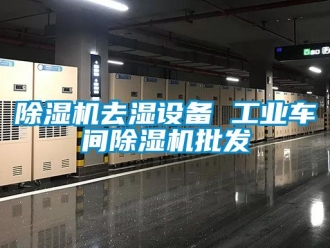 常見問題除濕機去濕設(shè)備 工業(yè)車間除濕機批發(fā)