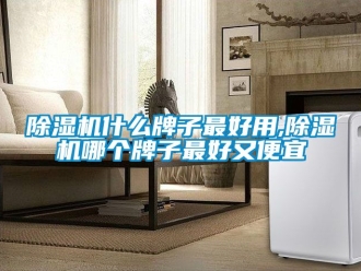 行業(yè)新聞除濕機(jī)什么牌子最好用,除濕機(jī)哪個(gè)牌子最好又便宜
